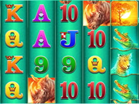 Spil mange sjove slots hos udbyderen